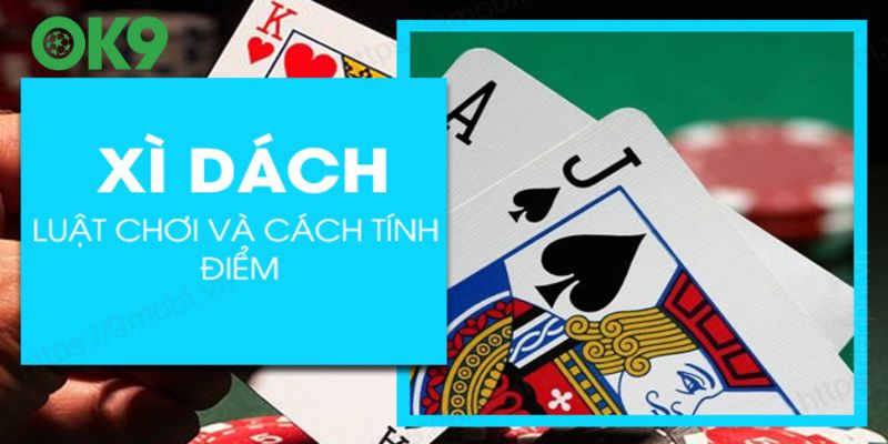 Chi tiết về cách chơi xì dách cho những người mới