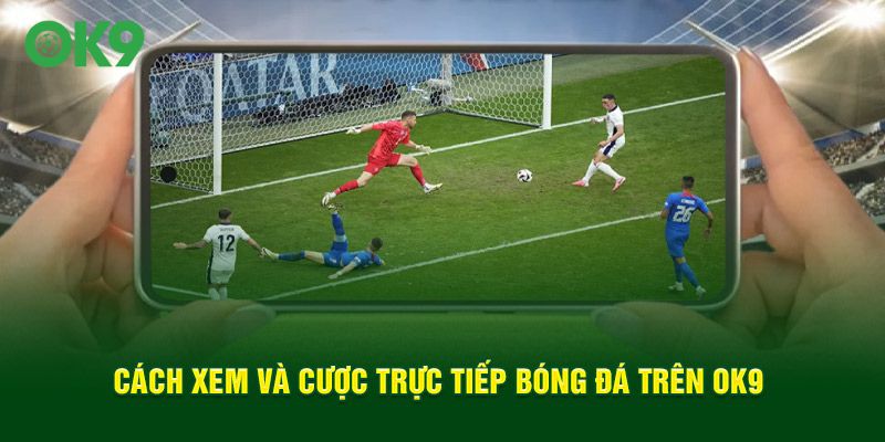 Cách xem và cược trực tiếp bóng đá trên OK9