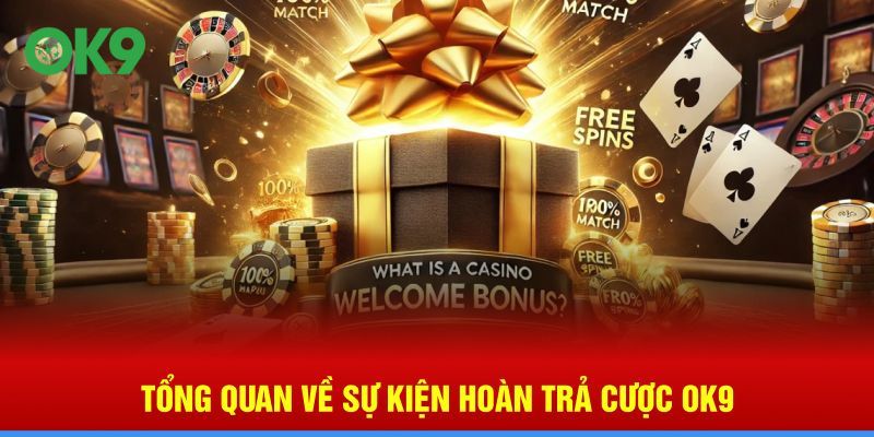 Tổng quan về sự kiện hoàn trả cược OK9