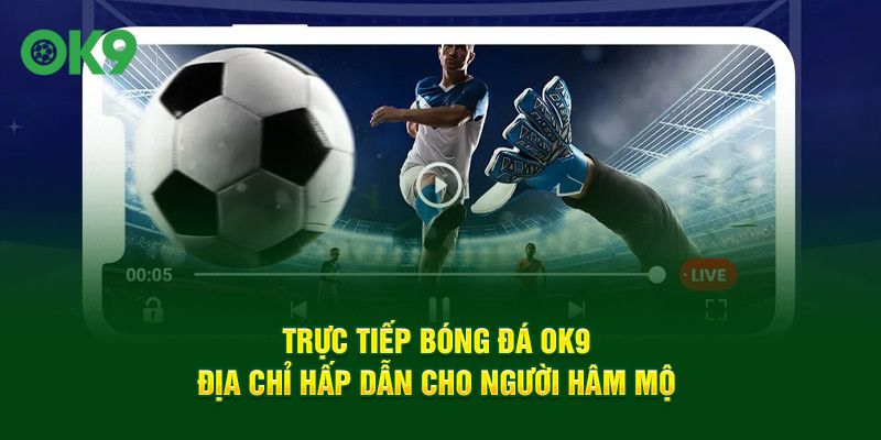 trực tiếp bóng đá